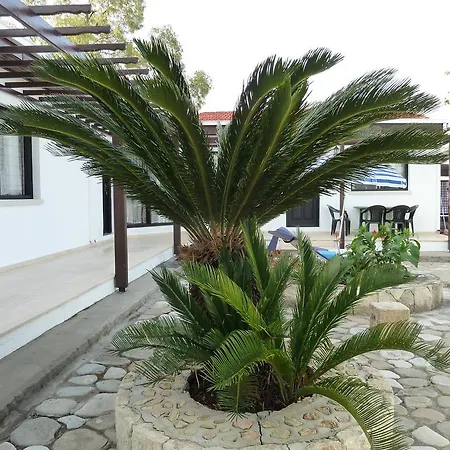 Hidden Villa